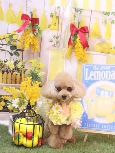 20240411ココちゃん